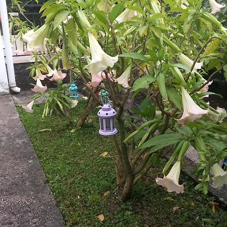 Holiday Home Bokokotorski Zaliv 外观 照片